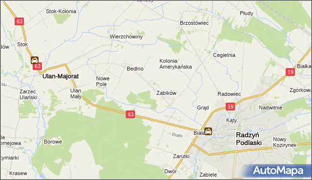 mapa Żabików gmina Radzyń Podlaski, Żabików gmina Radzyń Podlaski na mapie Targeo