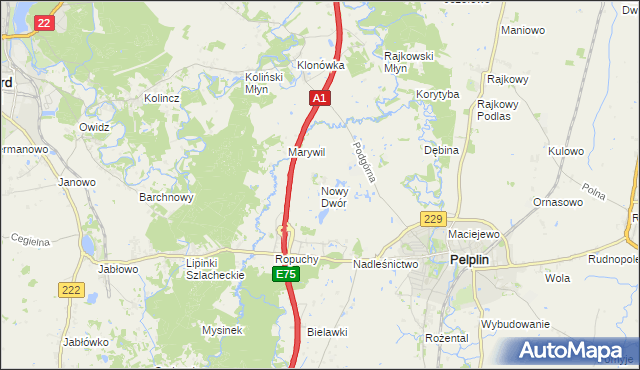 mapa Nowy Dwór gmina Pelplin, Nowy Dwór gmina Pelplin na mapie Targeo