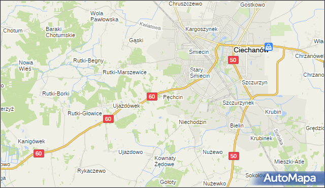 mapa Pęchcin, Pęchcin na mapie Targeo