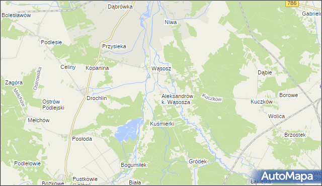 mapa Aleksandrów k. Wąsosza, Aleksandrów k. Wąsosza na mapie Targeo