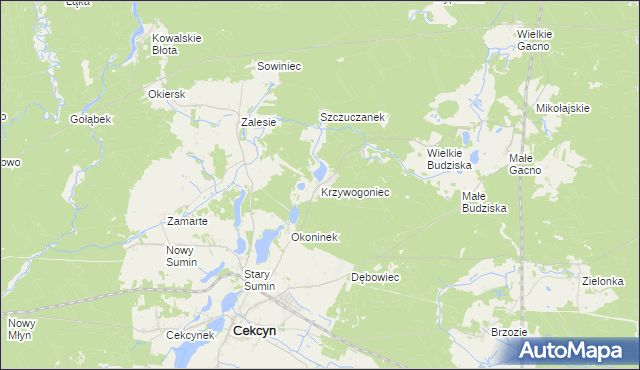 mapa Krzywogoniec, Krzywogoniec na mapie Targeo