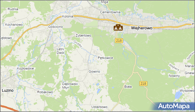 mapa Pętkowice gmina Wejherowo, Pętkowice gmina Wejherowo na mapie Targeo