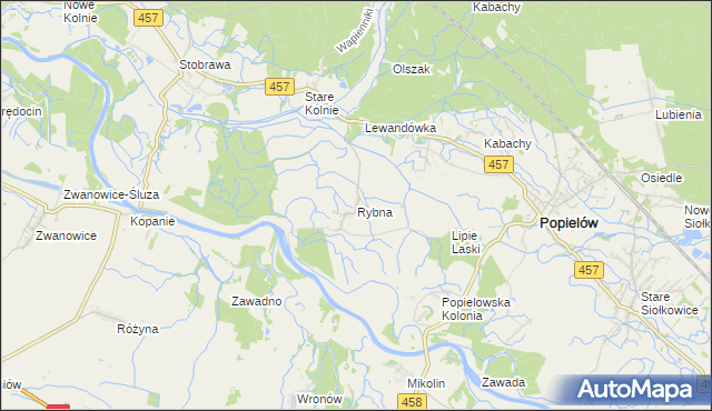 mapa Rybna gmina Popielów, Rybna gmina Popielów na mapie Targeo