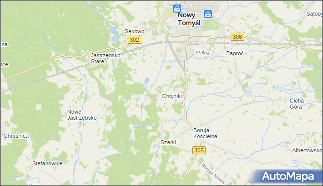 mapa Chojniki gmina Nowy Tomyśl, Chojniki gmina Nowy Tomyśl na mapie Targeo
