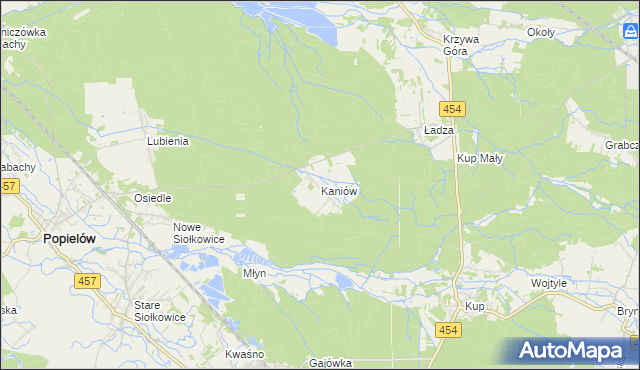 mapa Kaniów gmina Popielów, Kaniów gmina Popielów na mapie Targeo