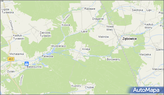 mapa Knieja gmina Zębowice, Knieja gmina Zębowice na mapie Targeo