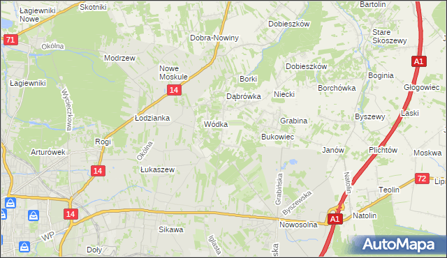 mapa Kopanka gmina Nowosolna, Kopanka gmina Nowosolna na mapie Targeo