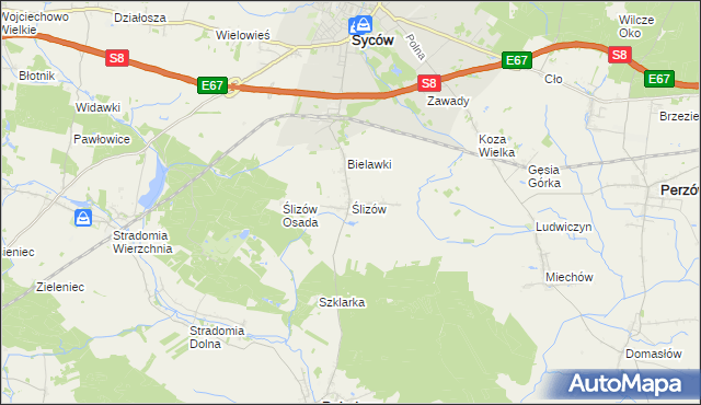 mapa Ślizów, Ślizów na mapie Targeo