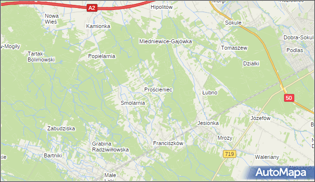 mapa Antoniew gmina Wiskitki, Antoniew gmina Wiskitki na mapie Targeo