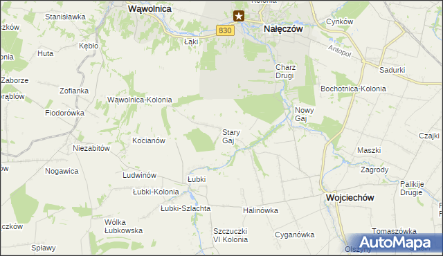 mapa Stary Gaj gmina Wojciechów, Stary Gaj gmina Wojciechów na mapie Targeo