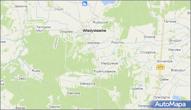 mapa Mariantów gmina Władysławów, Mariantów gmina Władysławów na mapie Targeo