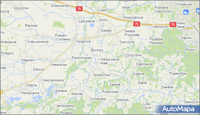 mapa Nieszkowice Małe, Nieszkowice Małe na mapie Targeo