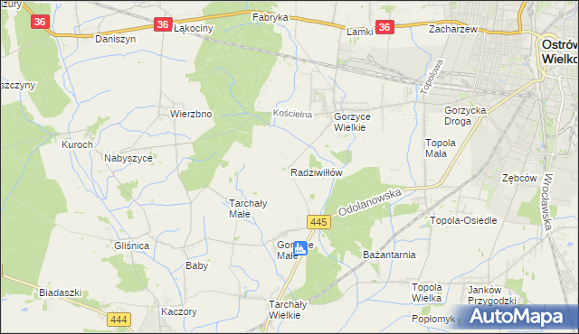 mapa Radziwiłłów gmina Ostrów Wielkopolski, Radziwiłłów gmina Ostrów Wielkopolski na mapie Targeo