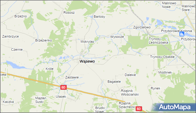 mapa Wąsewo-Kolonia, Wąsewo-Kolonia na mapie Targeo