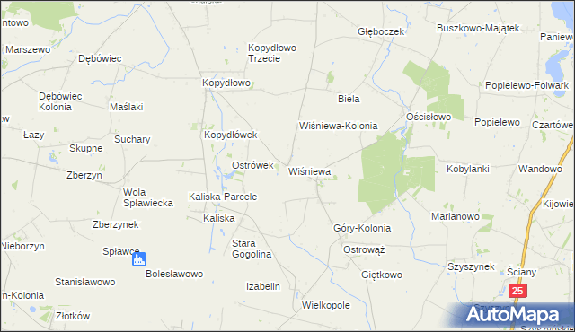 mapa Wiśniewa gmina Wilczyn, Wiśniewa gmina Wilczyn na mapie Targeo