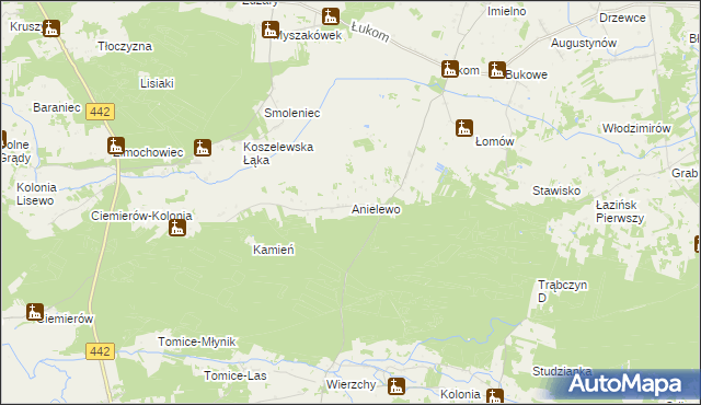 mapa Anielewo gmina Zagórów, Anielewo gmina Zagórów na mapie Targeo