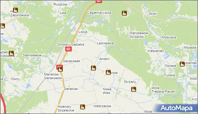 mapa Anielin gmina Gostynin, Anielin gmina Gostynin na mapie Targeo