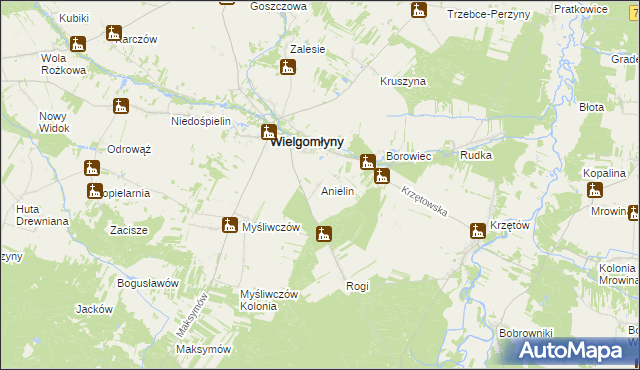 mapa Anielin gmina Wielgomłyny, Anielin gmina Wielgomłyny na mapie Targeo