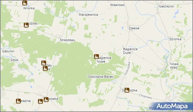 mapa Bagienice Nowe, Bagienice Nowe na mapie Targeo