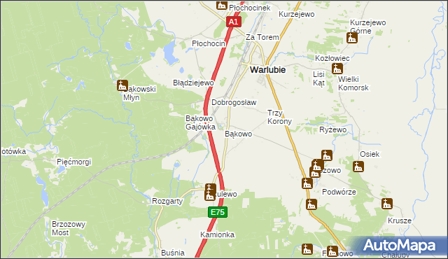 mapa Bąkowo gmina Warlubie, Bąkowo gmina Warlubie na mapie Targeo