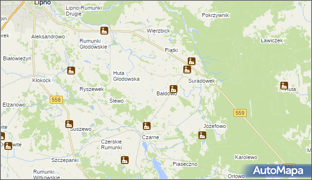 mapa Bałdowo gmina Wielgie, Bałdowo gmina Wielgie na mapie Targeo