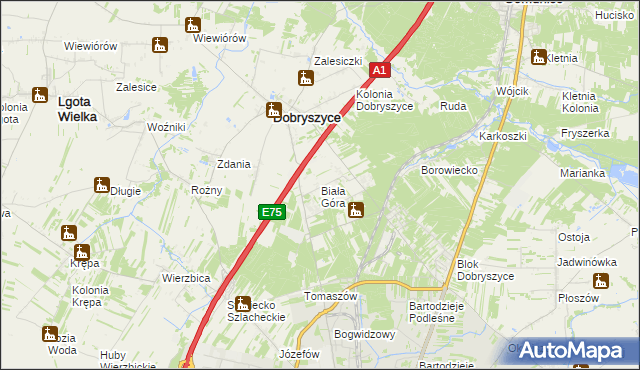 mapa Biała Góra gmina Dobryszyce, Biała Góra gmina Dobryszyce na mapie Targeo