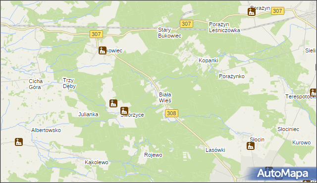 mapa Biała Wieś gmina Grodzisk Wielkopolski, Biała Wieś gmina Grodzisk Wielkopolski na mapie Targeo