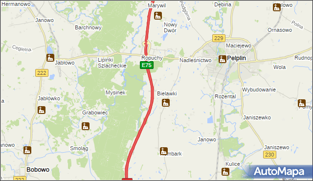 mapa Bielawki gmina Pelplin, Bielawki gmina Pelplin na mapie Targeo