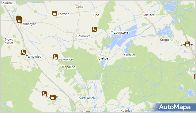 mapa Bielice gmina Świerczów, Bielice gmina Świerczów na mapie Targeo