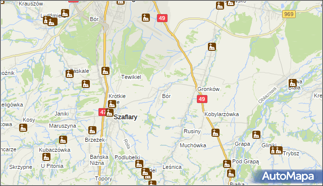 mapa Bór gmina Szaflary, Bór gmina Szaflary na mapie Targeo