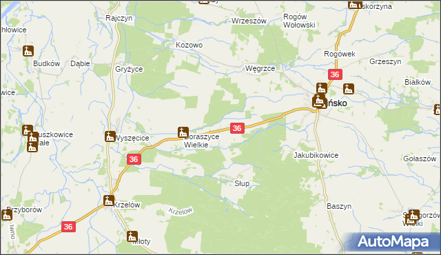 mapa Boraszyce Małe, Boraszyce Małe na mapie Targeo