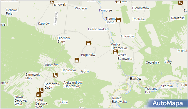 mapa Borcuchy gmina Bałtów, Borcuchy gmina Bałtów na mapie Targeo