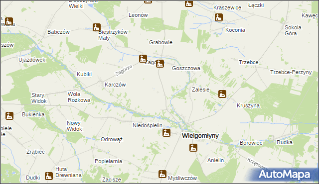 mapa Borecznica, Borecznica na mapie Targeo