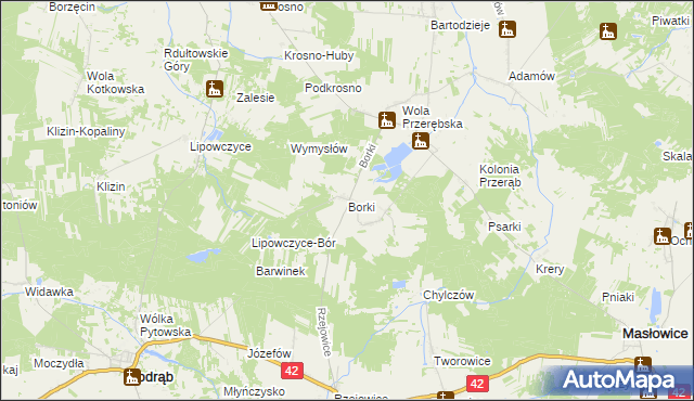 mapa Borki gmina Masłowice, Borki gmina Masłowice na mapie Targeo