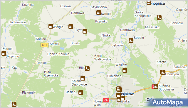 mapa Borki Walkowskie, Borki Walkowskie na mapie Targeo