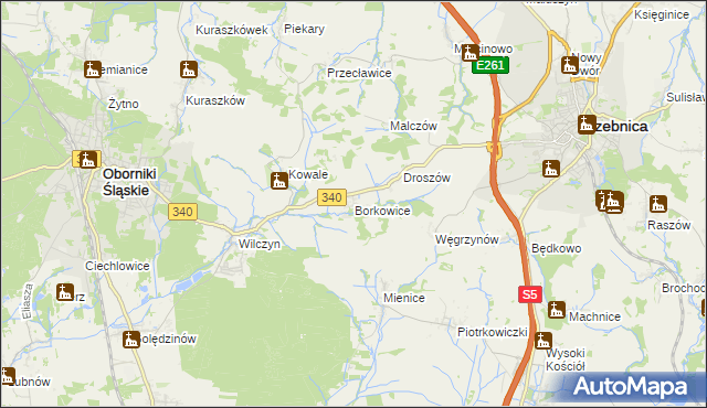 mapa Borkowice gmina Oborniki Śląskie, Borkowice gmina Oborniki Śląskie na mapie Targeo