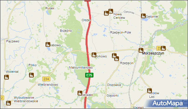 mapa Borkowo gmina Morzeszczyn, Borkowo gmina Morzeszczyn na mapie Targeo