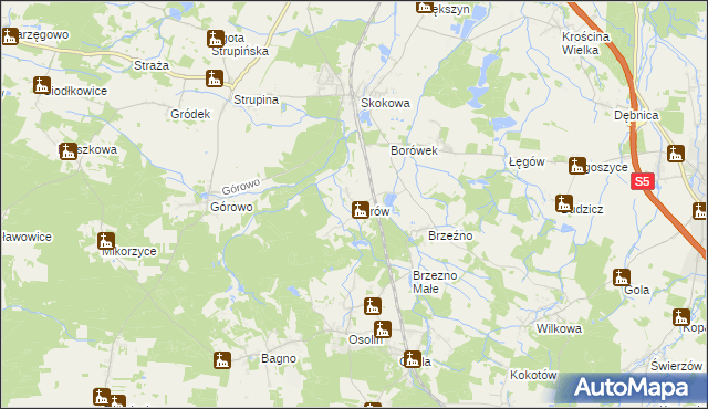 mapa Borów gmina Prusice, Borów gmina Prusice na mapie Targeo