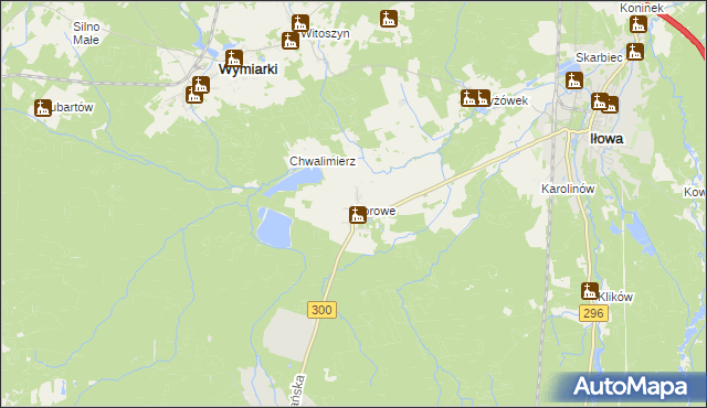 mapa Borowe gmina Iłowa, Borowe gmina Iłowa na mapie Targeo