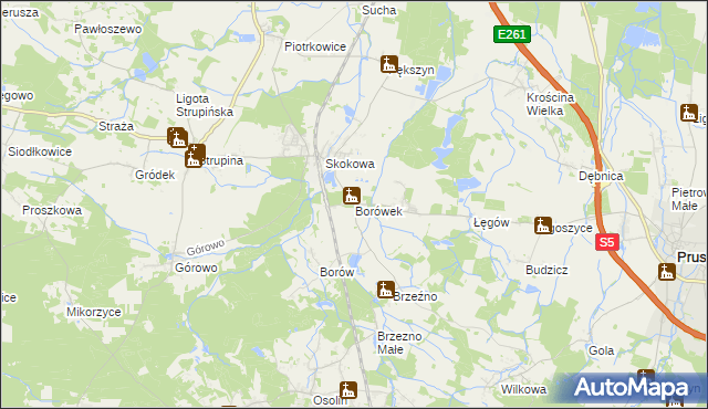 mapa Borówek gmina Prusice, Borówek gmina Prusice na mapie Targeo