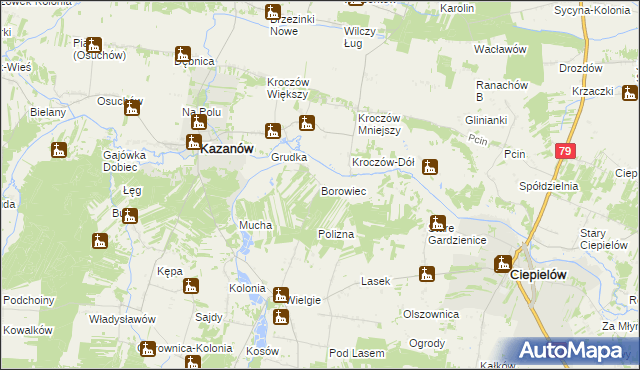 mapa Borowiec gmina Ciepielów, Borowiec gmina Ciepielów na mapie Targeo