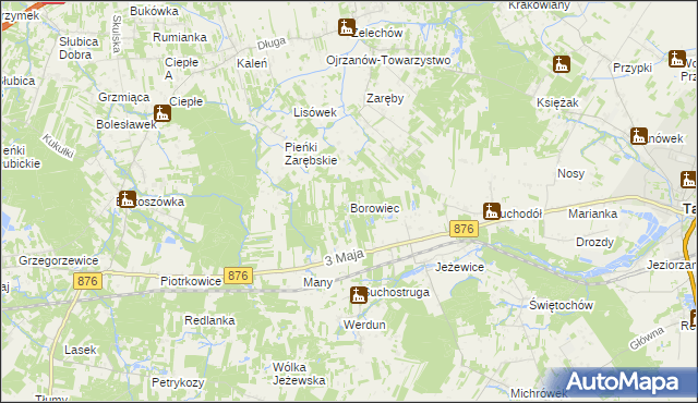 mapa Borowiec gmina Tarczyn, Borowiec gmina Tarczyn na mapie Targeo