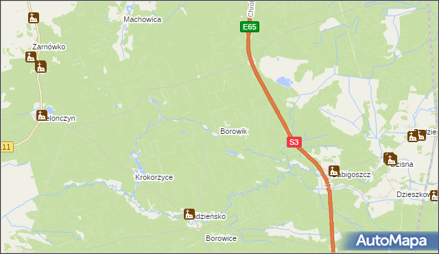 mapa Borowik gmina Przybiernów, Borowik gmina Przybiernów na mapie Targeo