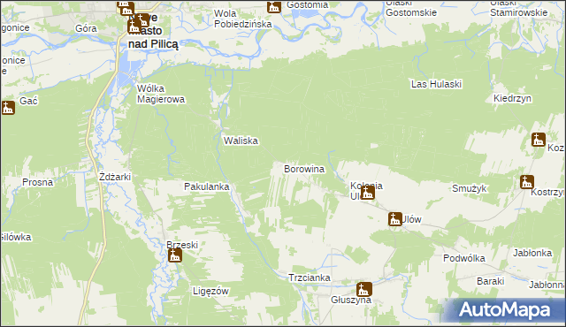 mapa Borowina gmina Nowe Miasto nad Pilicą, Borowina gmina Nowe Miasto nad Pilicą na mapie Targeo