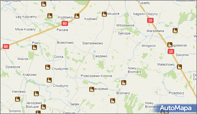 mapa Borowo gmina Drobin, Borowo gmina Drobin na mapie Targeo