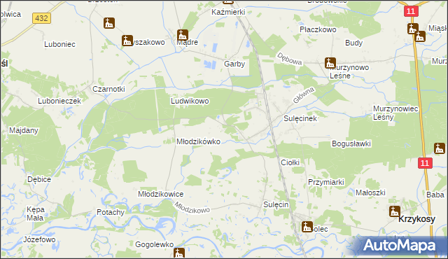 mapa Borowo gmina Krzykosy, Borowo gmina Krzykosy na mapie Targeo