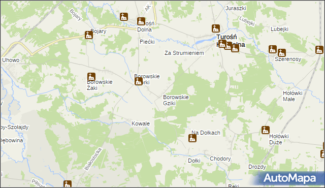 mapa Borowskie Gziki, Borowskie Gziki na mapie Targeo