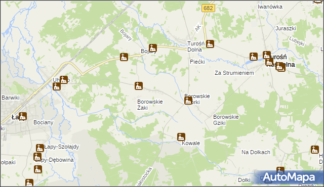 mapa Borowskie Wypychy, Borowskie Wypychy na mapie Targeo