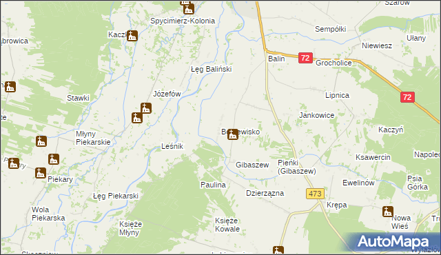 mapa Borzewisko gmina Poddębice, Borzewisko gmina Poddębice na mapie Targeo