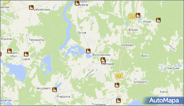 mapa Borzyszkowy, Borzyszkowy na mapie Targeo